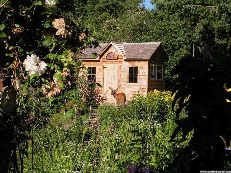 Medium Palmerston Garden Shed plans
