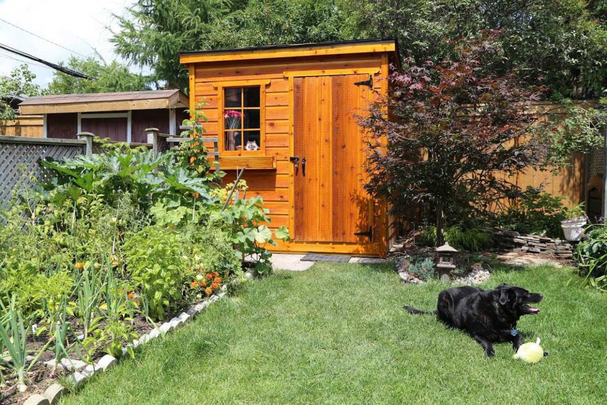 Shed designs 2