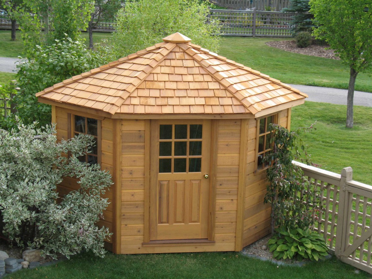 Catalina shed design 8' in a backyard with a delux door seen from the front. ID number 3004-1