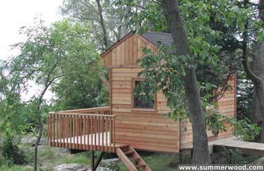 Glen Echo cabin plans in a garden