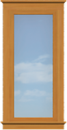 CO3 Contemporary Full Length Window (Fixed)